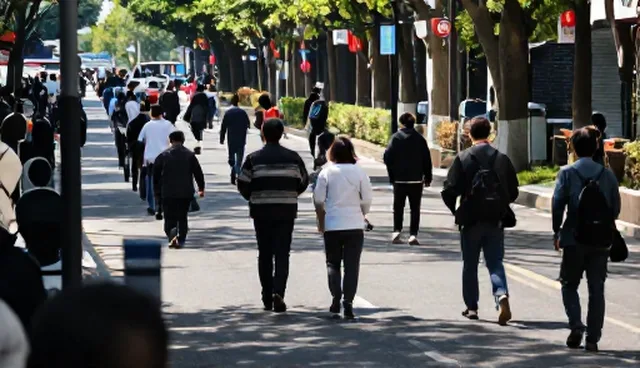黄页信息检索的适用场景与限制分析